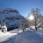 Fantastic View, Cosy Flat In Bergfink * Grindelwald