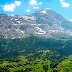 Fantastic View, Cosy Flat In Bergfink *