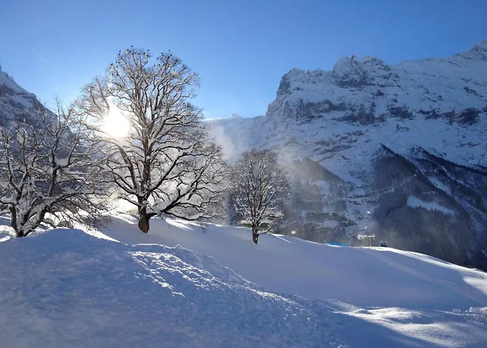 Daire Fantastic View, Cosy Flat In Bergfink Grindelwald
