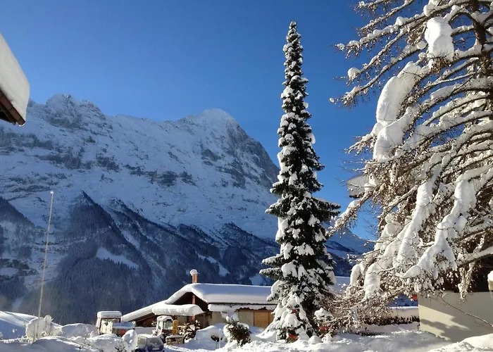Fantastic View, Cosy Flat In Bergfink Grindelwald