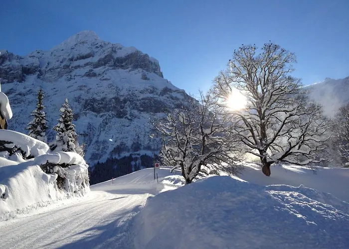 Fantastic View, Cosy Flat In Bergfink * Grindelwald