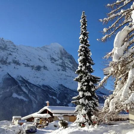 Fantastic View, Cosy Flat In Bergfink جريندلوالد
