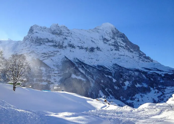 Appartement Fantastic View, Cosy Flat In Bergfink Grindelwald