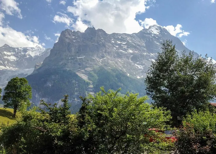 Fantastic View, Cosy Flat In Bergfink * Grindelwald