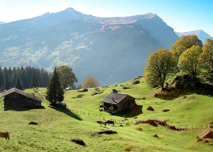 Fantastic View, Cosy Flat In Bergfink Appartement