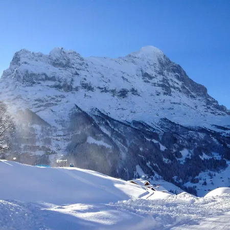 Apartment Fantastic View, Cosy Flat In Bergfink Grindelwald