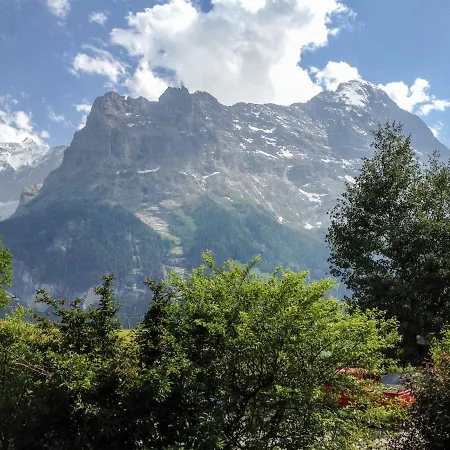 Bergfink By Interhome * Grindelwald