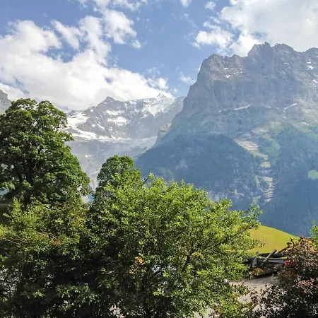 Bergfink By Interhome Daire Grindelwald
