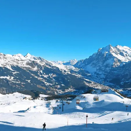 Bergfink By Interhome * Grindelwald
